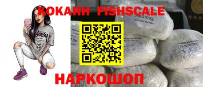 гашик Будённовск